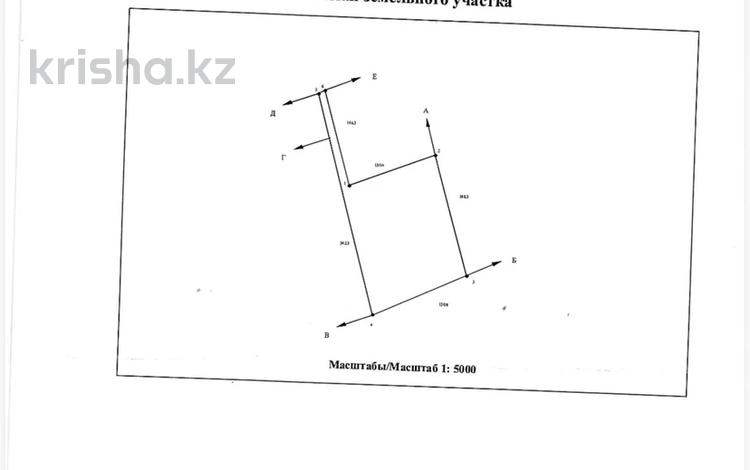 Жер телімі · 3 га, Кара дала, бағасы: 25 млн ₸ в Чундже — фото 2
