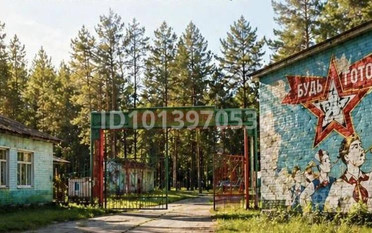 Бани, гостиницы и зоны отдыха, развлечения · 75000 м² за 70 млн ₸ в Алтынсарино (Костанайский район) — фото 3