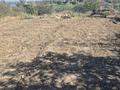 Дача · 3 комнаты · 80 м² · 8 сот., Переулок Вязовая 5 — ПК Спутник, 7 остановка,дача прям у воды. за 1.5 млн ₸ в Жезказгане — фото 9