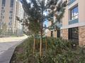 2-комнатная квартира · 50.51 м² · 10/17 этаж, Толе би 20 — Не в залоге за 30.5 млн ₸ в Астане, Нура р-н — фото 6