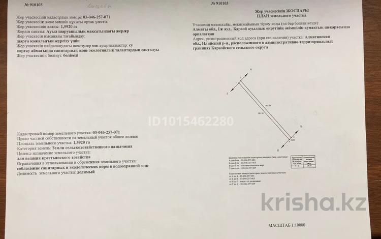 Жер телімі · 1.59 га, Қараой, бағасы: 12 млн ₸ в Караой — фото 2