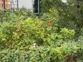 2-бөлмелі пәтер · 54 м² · 6/9 қабат, Е-899 1/1, бағасы: 500 000 ₸ в Астане, Есильский р-н — фото 19