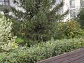 2-бөлмелі пәтер · 54 м² · 6/9 қабат, Е-899 1/1, бағасы: 500 000 ₸ в Астане, Есильский р-н — фото 20
