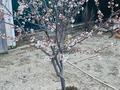Жеке үй · 3 бөлме · 75 м² · 10 сот., Береке (Память Ильича), Сарайшык 17 — Футбольное поле, бағасы: 26 млн ₸ в Атырау — фото 7