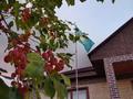 Жеке үй · 7 бөлме · 385 м² · 10 жүзд., 18 мкр Ауэзова 30, бағасы: 110 млн ₸ в Конаеве — фото 45