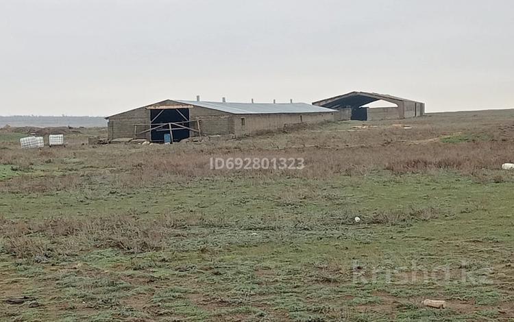 Сельское хозяйство • 1125 м² за 22 млн 〒 в Хромтау — фото 2