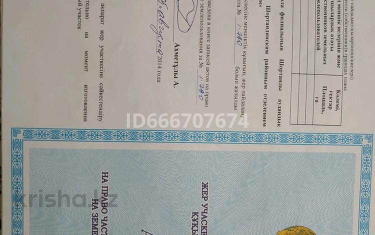 Жер телімі · 15 сотық, Бозайгыр, бағасы: 2 млн ₸ — фото 2