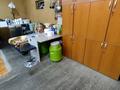 Отдельный дом · 3 комнаты · 106.3 м² · 6.75 сот., Байжарасова за 32 млн ₸ в Боралдае (Бурундай) — фото 14