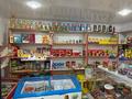 Дүкендер мен бутиктер · 70 м², бағасы: 20 млн ₸ в Уральске, мкр. Зачаганск пгт — фото 6