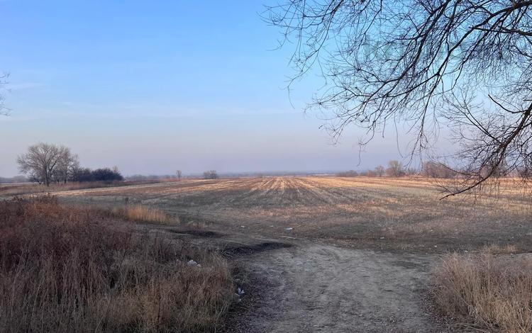 Участок · 9 га, Долана за ~ 1.3 млрд ₸ в Туздыбастау (Калинино) — фото 2
