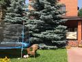 Отдельный дом · 5 комнат · 243 м² · 10 сот., С/к Локомотивное депо3 91 за 75 млн 〒 в Актобе