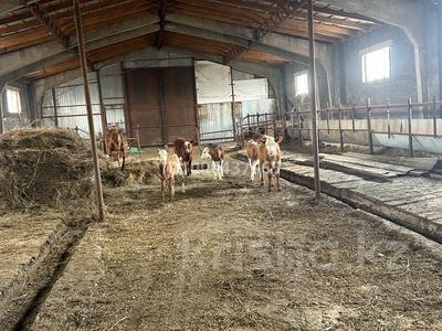 Продажа промбаз и заводов в Западно-Казахстанской обл.: Промбаза · 50 соток, Отырар 26 за 80 млн 〒 Промбаза · 50 соток, Отырар 26 за 80 млн 〒 в Уральске