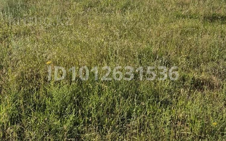 Завод · 5 га, Қарғалы 100 за 95 млн ₸ в Каргалы (п. Фабричный) — фото 2