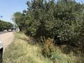 Жер телімі · 5 сотық, Қырғауылды, бағасы: 25 млн ₸ в Кыргауылдах — фото 2