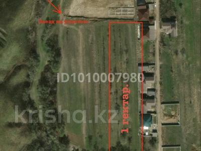 Участок · 1 га, Ленинский участок за 85 млн 〒 в Каскелене