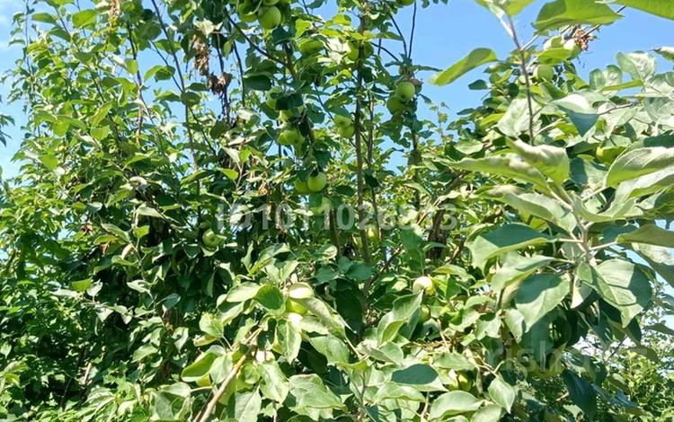 Дача · 1 комната · 10 м² · 9.8 сот., Садоводческое товарищество Вишенка за 2 млн 〒 в Петропавловске — фото 2