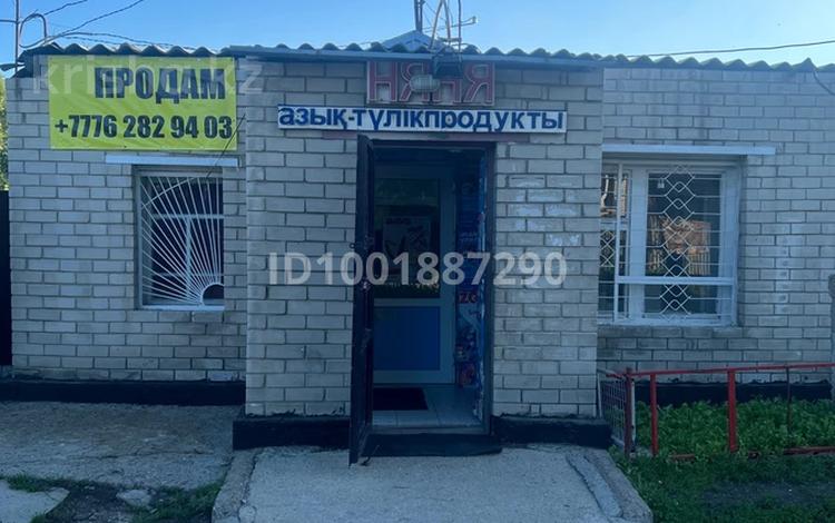 Дүкендер мен бутиктер · 30 м², бағасы: 100 000 ₸ в Усть-Каменогорске, Ульбинский — фото 2
