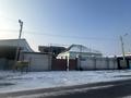 Отдельный дом · 8 комнат · 350 м² · 8 сот., мкр Самал-2 — Қанағат21 пересечение Байтұрсынова за 110 млн ₸ в Шымкенте, Абайский р-н — фото 14