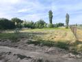 Участок · 25 соток, Бостандык за 15 млн ₸ в Кентау — фото 9