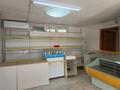 Свободное назначение, офисы, магазины и бутики, склады · 54 м² за 170 000 ₸ в Алматы, Ауэзовский р-н — фото 4