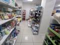 Дүкендер мен бутиктер · 300.9 м², бағасы: 40 млн ₸ в Шортандах — фото 6