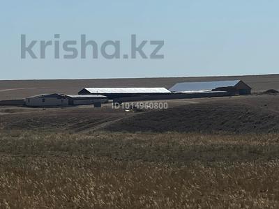 Промбаза · 200 га, Курты 5 за 120 млн ₸ в Жамбыл (Жамбылский район)