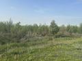Участок · 15 га, Турген за 150 млн ₸