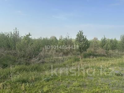Участок · 15 га, Турген за 150 млн ₸
