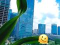 3-бөлмелі пәтер · 90 м² · 9/9 қабат, Ислама Каримова — Учебный центр Inter National, бағасы: 35 000 ₸ в Ташкенте