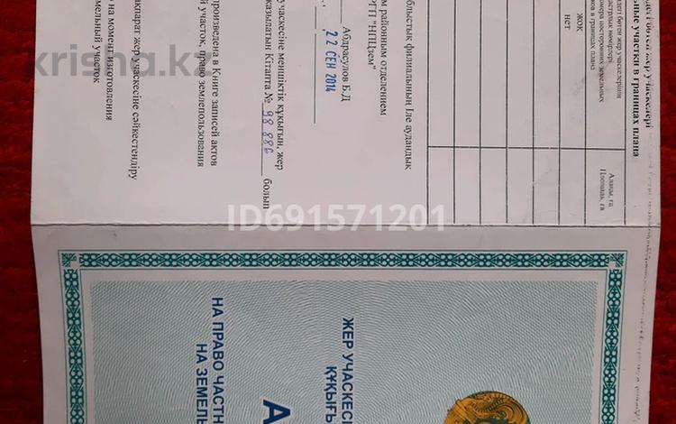 Участок · 12 соток, Коянкус за 29 млн 〒 — фото 2