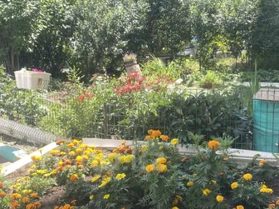 1-комнатная квартира · 32.5 м² · 1/9 этаж, орбита 37 за 16.9 млн 〒 в Караганде, Казыбек би р-н