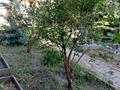 Саяжай · 2 бөлме · 35 м² · 6 жүзд., Рассвет-Лесхоз — Келешек, бағасы: 5.5 млн ₸ в Актобе — фото 5