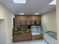 Свободное назначение · 100 м² за 45 млн ₸ в Шымкенте, Аль-Фарабийский р-н — фото 7