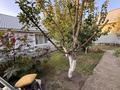 Отдельный дом · 4 комнаты · 75 м² · 4.5 сот., мкр Достык 35 — Карахан-Ф.Шариповой за 79.5 млн ₸ в Алматы, Ауэзовский р-н — фото 14