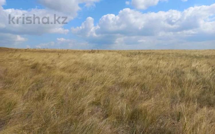 Жер телімі · 837 га, Актогайский район, Разумовский сельский округ, село Андриановка (Акжол), бағасы: ~ 7.8 млн ₸ в Павлодарской обл. — фото 3
