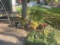 Жеке үй · 4 бөлме · 232.8 м² · 7 жүзд., Воронихина 3, бағасы: 520 млн ₸ в Алматы, Медеуский р-н — фото 19
