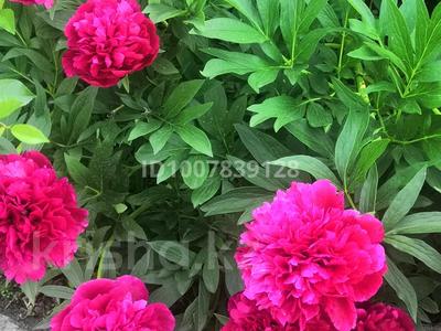 Отдельный дом · 4 комнаты · 50 м² · 12 сот., Пришахтинск за 10.5 млн 〒 в Караганде, Алихана Бокейханова р-н