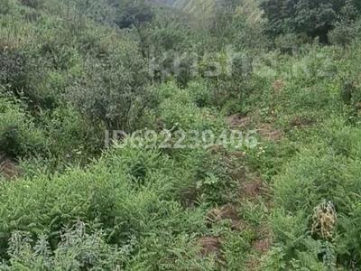 Участок · 440 соток, Долан за 20 млн 〒