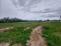 Жеке үй · 1 бөлме · 500 м² · 300 жүзд., Караой, бағасы: 300 000 ₸ — фото 8