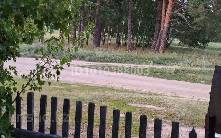 3-бөлмелі пәтер · 56 м² · 1 қабат, Аккольский лесхоз Бирлик 15/1, бағасы: 14 млн ₸ — фото 2