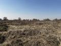 Жер телімі · 6 сотық, Панфилов, бағасы: 8 млн ₸ в  — фото 8