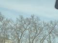 Жер телімі · 20 сотық, Каскелен, бағасы: 47 млн ₸ — фото 2