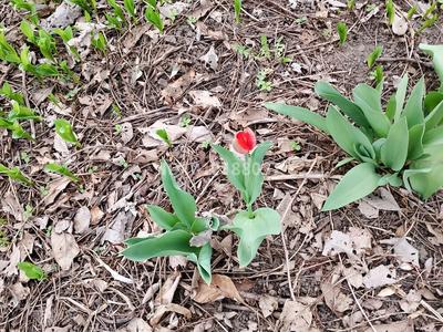 Участок · 10 соток, Грушевая 20 — На перекрестке за 4.5 млн ₸ в Есик