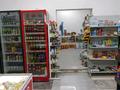 Свободное назначение · 75 м² за 15.5 млн ₸ в Косшы