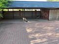 Жеке үй · 5 бөлме · 350 м² · 67 жүзд., Алмалы, бағасы: 290 млн ₸ в Куше — фото 26