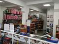 Магазины и бутики • 228 м² за 78 млн 〒 в Павлодаре — фото 8