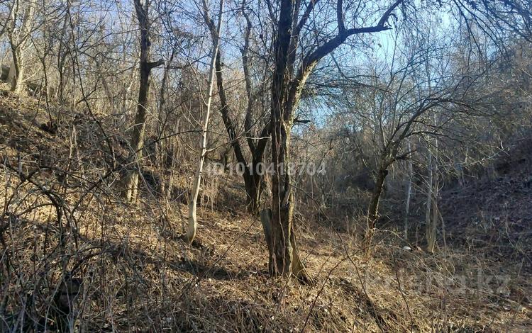 Дача · 1 комната · 20 м² · 20 сот., мкр Кенсай — Молодой садовод 63 за 8 млн ₸ в Алматы, Медеуский р-н — фото 4