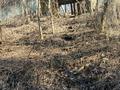 Дача · 1 комната · 20 м² · 20 сот., мкр Кенсай — Молодой садовод 63 за 8 млн ₸ в Алматы, Медеуский р-н — фото 2