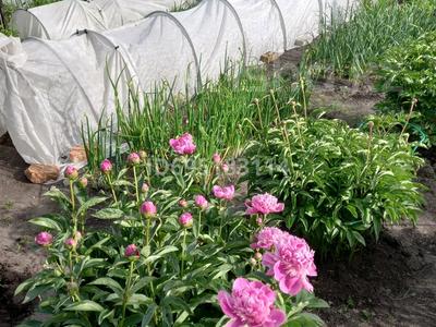 Дача · 1 комната · 16 м² · 4 сот., Дача Колос 785 за 2.1 млн 〒 в Костанае