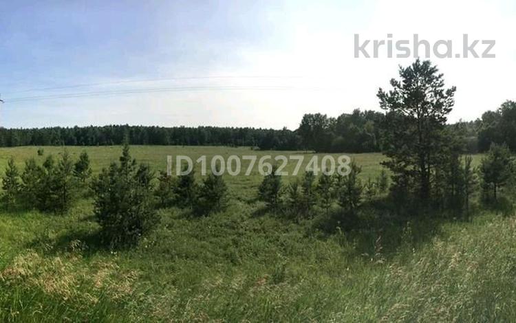 Участок · 20 соток, Мкр. Ак-кайын 9 за 11 млн ₸ в Щучинске — фото 2